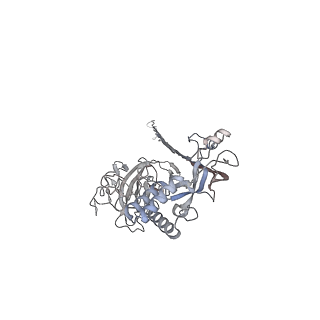 10135_6sb5_F_v1-2
CryoEM structure of murine perforin-2 ectodomain in a pore form