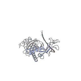 10135_6sb5_G_v1-2
CryoEM structure of murine perforin-2 ectodomain in a pore form