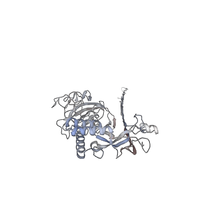 10135_6sb5_H_v1-2
CryoEM structure of murine perforin-2 ectodomain in a pore form