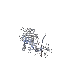 10135_6sb5_I_v1-2
CryoEM structure of murine perforin-2 ectodomain in a pore form