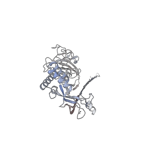 10135_6sb5_J_v1-2
CryoEM structure of murine perforin-2 ectodomain in a pore form