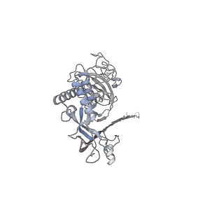 10135_6sb5_K_v1-2
CryoEM structure of murine perforin-2 ectodomain in a pore form