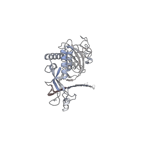 10135_6sb5_L_v1-2
CryoEM structure of murine perforin-2 ectodomain in a pore form