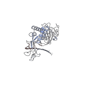 10135_6sb5_M_v1-2
CryoEM structure of murine perforin-2 ectodomain in a pore form