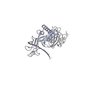 10135_6sb5_N_v1-2
CryoEM structure of murine perforin-2 ectodomain in a pore form
