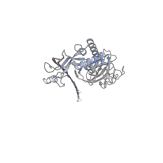 10135_6sb5_O_v1-2
CryoEM structure of murine perforin-2 ectodomain in a pore form