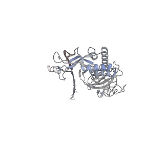 10135_6sb5_P_v1-2
CryoEM structure of murine perforin-2 ectodomain in a pore form