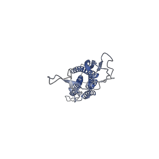 24961_7sb2_A_v1-3
Structure of the periplasmic domain of GldM from Capnocytophaga canimorsus