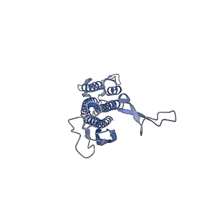 24961_7sb2_B_v1-3
Structure of the periplasmic domain of GldM from Capnocytophaga canimorsus