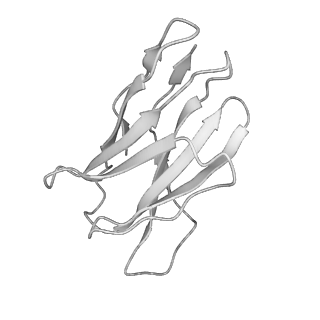 24968_7sb3_H_v1-1
Structure of OC43 spike in complex with polyclonal Fab1 (Donor 269)