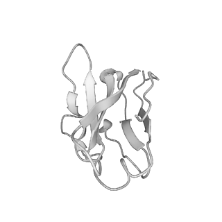 24968_7sb3_L_v1-1
Structure of OC43 spike in complex with polyclonal Fab1 (Donor 269)
