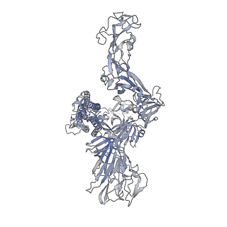 24969_7sb4_A_v1-1
Structure of OC43 spike in complex with polyclonal Fab2 (Donor 1412)