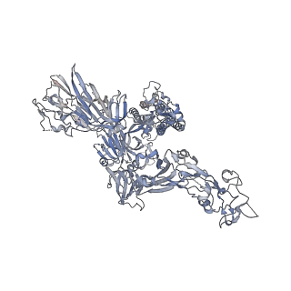 24969_7sb4_C_v1-1
Structure of OC43 spike in complex with polyclonal Fab2 (Donor 1412)
