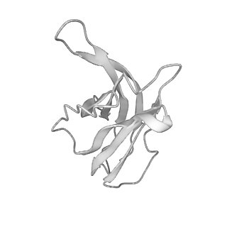 24969_7sb4_H_v1-1
Structure of OC43 spike in complex with polyclonal Fab2 (Donor 1412)