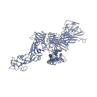 24970_7sb5_A_v1-1
Structure of OC43 spike in complex with polyclonal Fab3 (Donor 1412)