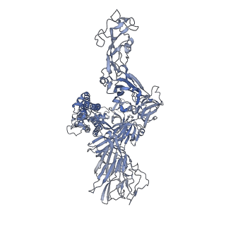 24970_7sb5_C_v1-1
Structure of OC43 spike in complex with polyclonal Fab3 (Donor 1412)