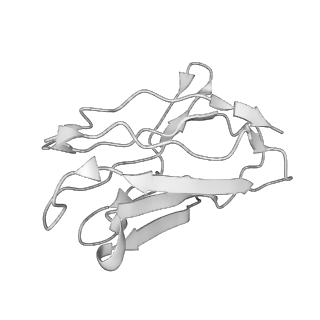24970_7sb5_H_v1-1
Structure of OC43 spike in complex with polyclonal Fab3 (Donor 1412)