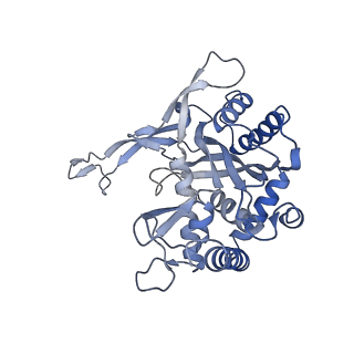 24974_7sba_A_v1-0
Structure of type I-D Cascade bound to a dsDNA target