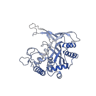 24974_7sba_B_v1-0
Structure of type I-D Cascade bound to a dsDNA target