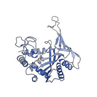 24974_7sba_C_v1-0
Structure of type I-D Cascade bound to a dsDNA target