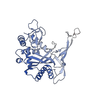 24974_7sba_D_v1-0
Structure of type I-D Cascade bound to a dsDNA target