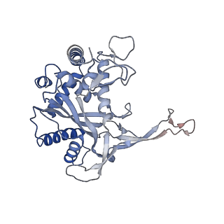 24974_7sba_E_v1-0
Structure of type I-D Cascade bound to a dsDNA target