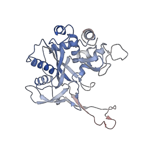 24974_7sba_F_v1-0
Structure of type I-D Cascade bound to a dsDNA target