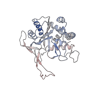 24974_7sba_G_v1-0
Structure of type I-D Cascade bound to a dsDNA target