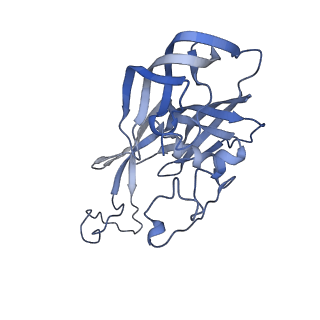 24974_7sba_H_v1-0
Structure of type I-D Cascade bound to a dsDNA target