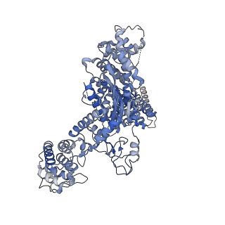 24974_7sba_I_v1-0
Structure of type I-D Cascade bound to a dsDNA target