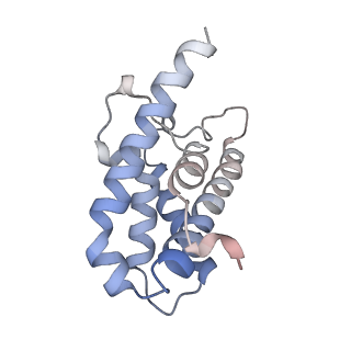 24974_7sba_J_v1-0
Structure of type I-D Cascade bound to a dsDNA target
