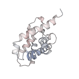 24974_7sba_K_v1-0
Structure of type I-D Cascade bound to a dsDNA target
