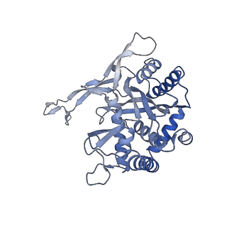 24976_7sbb_A_v1-0
Structure of type I-D Cascade bound to a ssRNA target