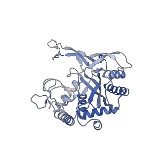 24976_7sbb_B_v1-0
Structure of type I-D Cascade bound to a ssRNA target