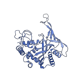 24976_7sbb_C_v1-0
Structure of type I-D Cascade bound to a ssRNA target