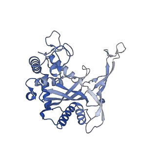 24976_7sbb_D_v1-0
Structure of type I-D Cascade bound to a ssRNA target