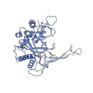 24976_7sbb_E_v1-0
Structure of type I-D Cascade bound to a ssRNA target