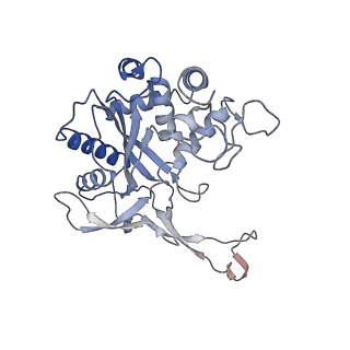 24976_7sbb_F_v1-0
Structure of type I-D Cascade bound to a ssRNA target