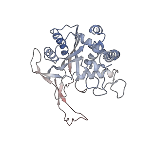 24976_7sbb_G_v1-0
Structure of type I-D Cascade bound to a ssRNA target
