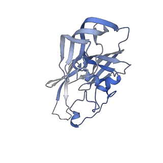 24976_7sbb_H_v1-0
Structure of type I-D Cascade bound to a ssRNA target