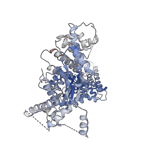 24976_7sbb_I_v1-0
Structure of type I-D Cascade bound to a ssRNA target