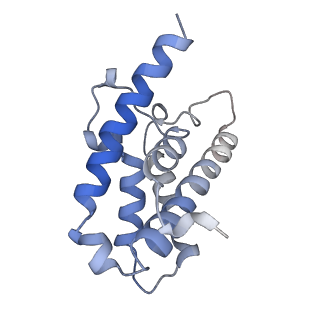 24976_7sbb_J_v1-0
Structure of type I-D Cascade bound to a ssRNA target
