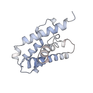 24976_7sbb_K_v1-0
Structure of type I-D Cascade bound to a ssRNA target