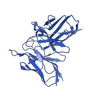 24978_7sbf_E_v1-2
PZM21 bound Mu Opioid Receptor-Gi Protein Complex