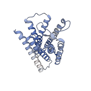 24978_7sbf_R_v1-2
PZM21 bound Mu Opioid Receptor-Gi Protein Complex
