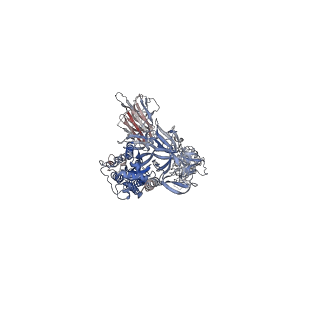 24985_7sbq_A_v1-2
One RBD-up 1 of pre-fusion SARS-CoV-2 Kappa variant spike protein