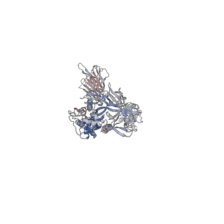 24986_7sbr_A_v1-2
One RBD-up 2 of pre-fusion SARS-CoV-2 Kappa variant spike protein