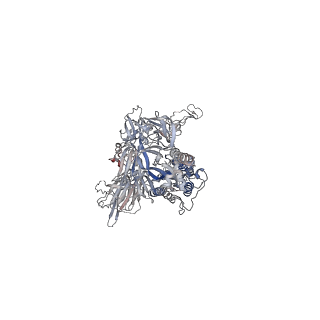 24986_7sbr_C_v1-2
One RBD-up 2 of pre-fusion SARS-CoV-2 Kappa variant spike protein
