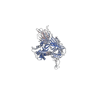 24987_7sbs_B_v2-1
One RBD-up 1 of pre-fusion SARS-CoV-2 Gamma variant spike protein