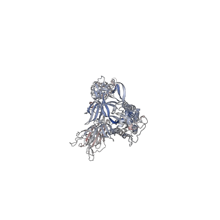 24988_7sbt_A_v1-0
One RBD-up 2 of pre-fusion SARS-CoV-2 Gamma variant spike protein